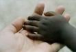 Forum Provinciale dell'Immigrazione: un seminario il 6 febbraio...