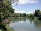 Il paesaggio, tra salvaguardia e valorizzazione: gioved� 9 febbraio convegno in ...